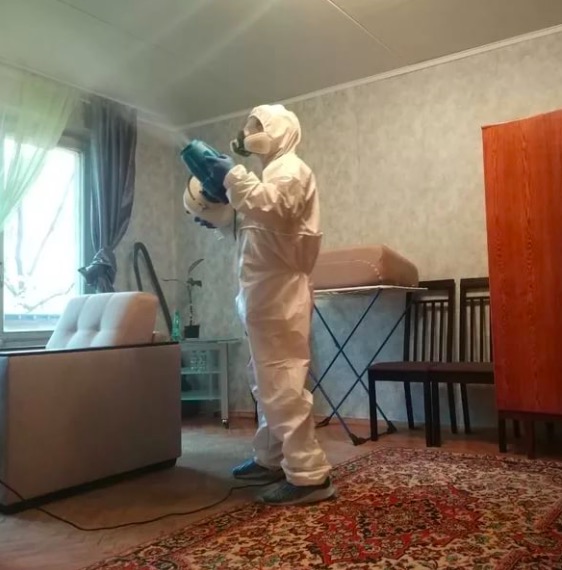 дезинсекция квартиры в Александрове